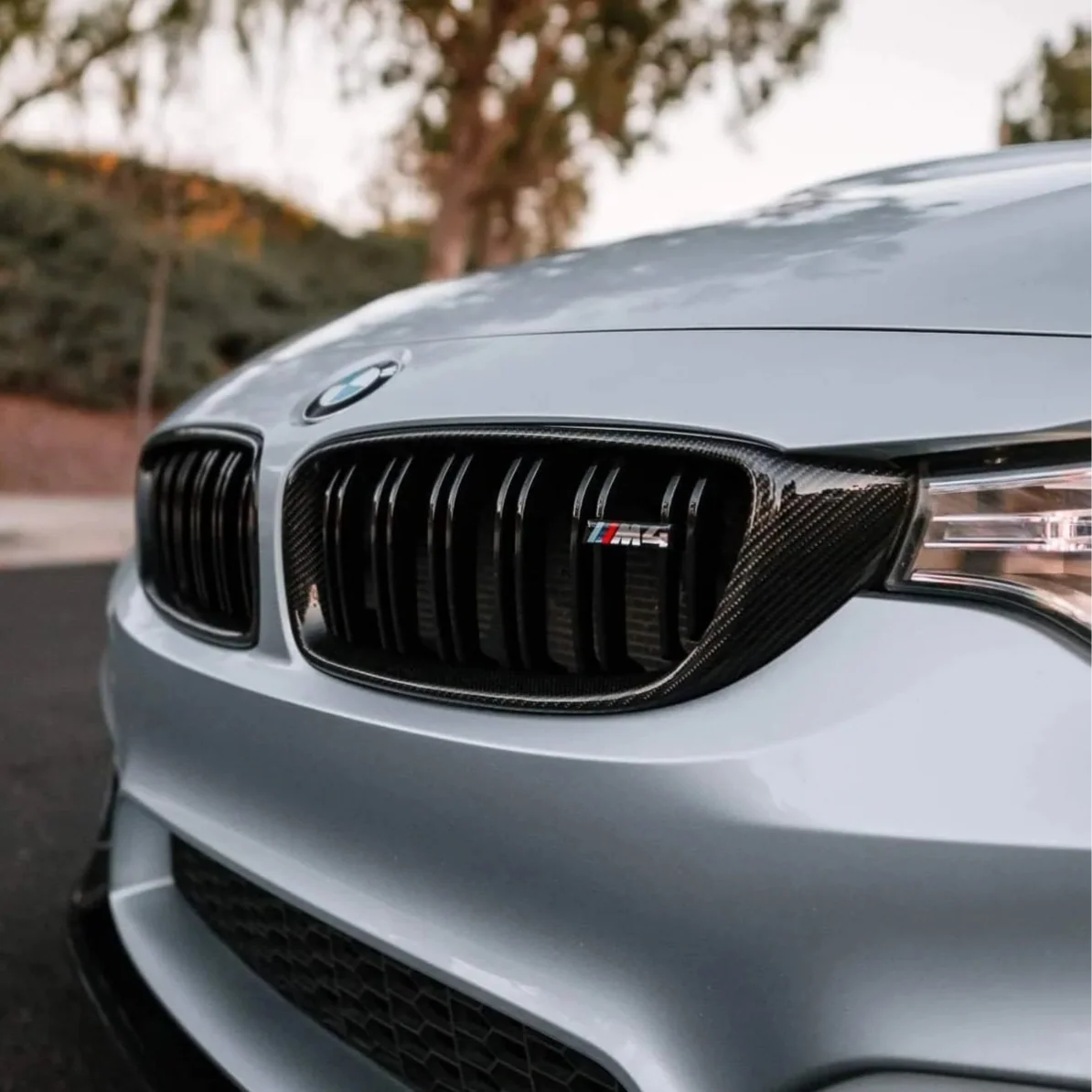 BMW 4 Series & M3 M4 Carbon Fibre Front Grills F32 F33 F36 F80 F82 F83 (2014-2020)