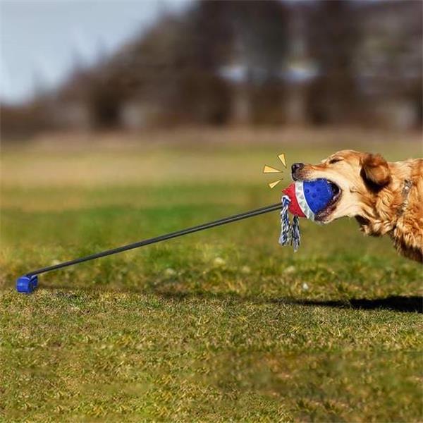 Pet rope ball outdoor training toy, chewing product
