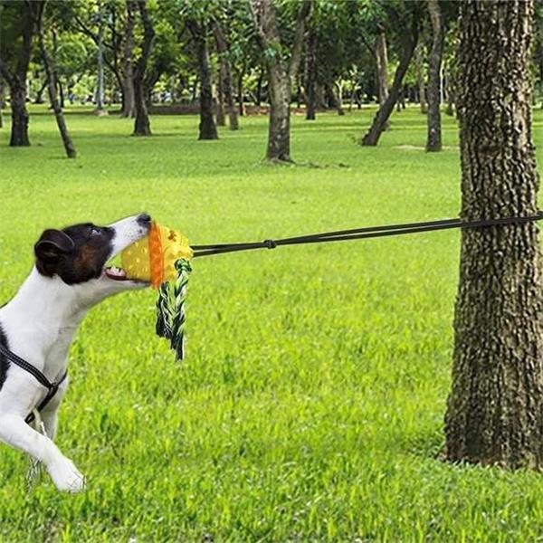Pet rope ball outdoor training toy, chewing product