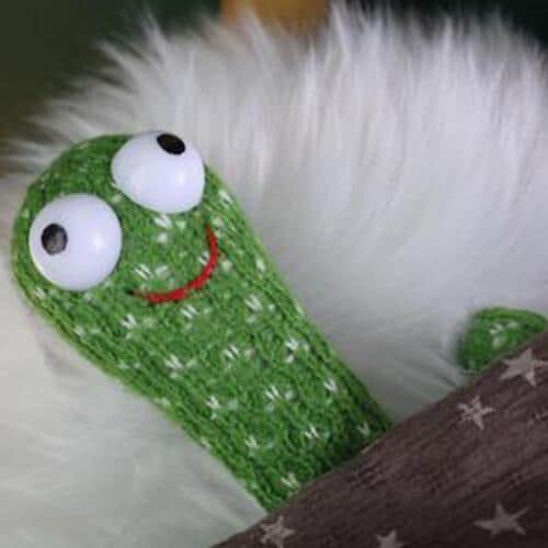 The dancing cactus